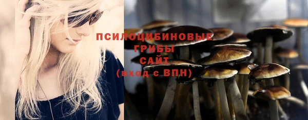 сатива Алзамай