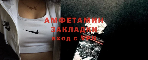 сатива Алзамай