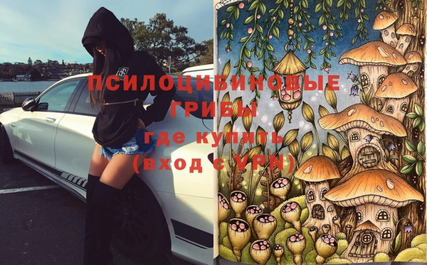 шишки Алексин
