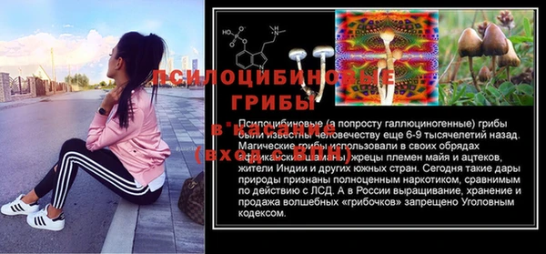 шишки Алексин