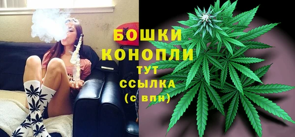 шишки Алексин