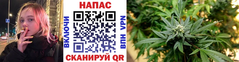 Бошки марихуана AK-47 Кологрив